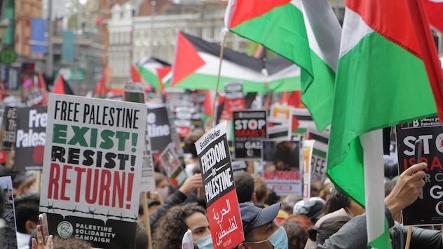 This week's top stories: Palestine resources, RIP Jamie Tiller ...